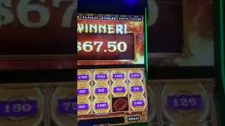 Mighty cash ultra bonus