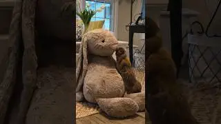Unboxing my baby&rsquo;s GIANT rabbit jellycat