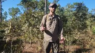 Get Home Bag/Day Pack Survival Kit