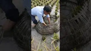 fishing, deep hole fish trap, saltwater fish trap, Fish trap videos, fishing,Satisfying fishing net