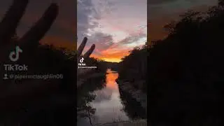 Golden hour sunset #shorts #sunset #goldenhour