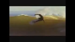 DVS Surf: Chris Ward (Oakley Video Part)