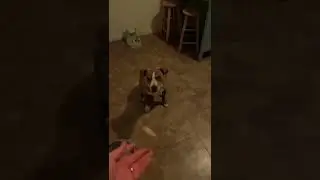 Treats?!!! :D
