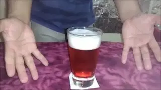 CERVEZA ROJA (Tutorial Bar & Cocteler&iacute;a)