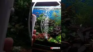 Аккумуляторный #компрессор #аквариум #аквариумдома