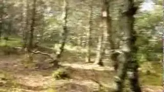 Cycling Low Moss