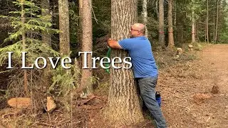 Felling trees with a portable winch