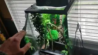 Zoomed paludarium kit review