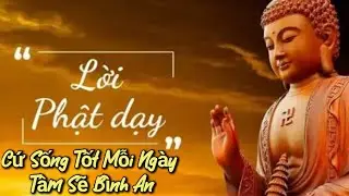 Lời Phật Dậy : Cứ Sống Tốt Mỗi Ngày, Ai Làm Gì Kệ Ai, Sẽ Thấy Tâm Bình An #loiphatday #trietlysong 