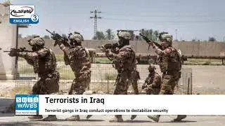 Seven terrorists arrested in Nineveh, Iraq