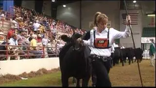 Sure Champ National Junior Angus Association