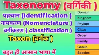 टैक्सोनॉमी एक वीडियो में | Taxonomy in One Shot | Nomenclature, Classification & Identification | 