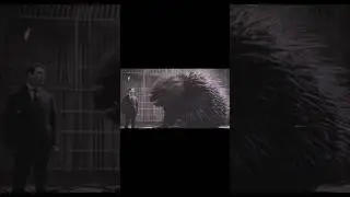 Secret beast bred in the Bronx zoo #creepy #giant #beast #nightmare #scary #monster #ai