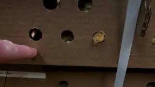 Shipping baby chicks chickens