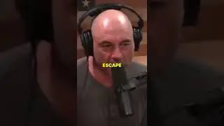Joe Rogan Explains how to ESCAPE your 9-5