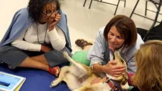CRI Canine Rehabilitation Therapist Module
