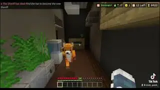 Gyalogvlog🚶&zwj;♂️