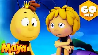 Willy, rey por un d&iacute;a 👑 | Animaj Kids - Historias y Aventuras! | Animaci&oacute;n