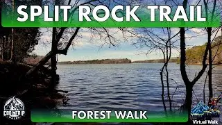 Discover the Split Rock Trail at Latta Nature Preserve [4K]: Cool Trip Walks - Virtual Walks