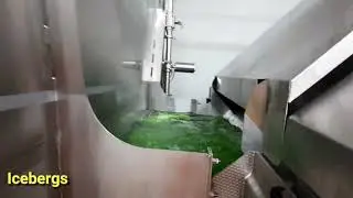 Frozen Peas Processing Factory