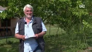Špargla u Srbiji
