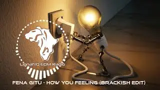 Fena Gitu - How You Feeling ( Brackish Remix) | Soul House