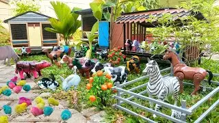 Wadidaw ‼️ Proses Potong Sapi Lucu Kambing & Kerbau | Proses Melahirkan Cesar Sapi , Gajah & Unta