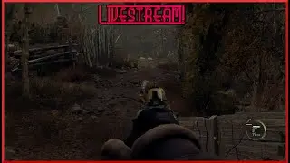 Professional Difficulty, First Person Mod, 100 deaths.