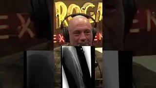 Forrest griffin breaks reporters leg😱😳!!! #ufc #joeroganexperience #joerogan #podcast #mma
