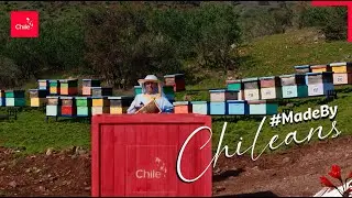 Made by Chileans: over 3,000 stories now taking Chile to the world.