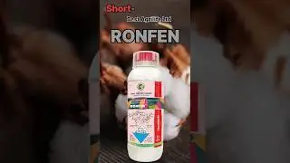 🤘Ronfen insecticide🤘 control whitefly, thrips, aphids in cotton and brinjal