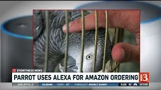 Parrot uses 'Alexa' device for Amazon ordering