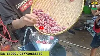 Mesin Kupas dan Cuci Otomatis Bawang Merah