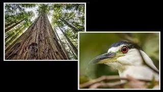 6 BioWise Face of Nature