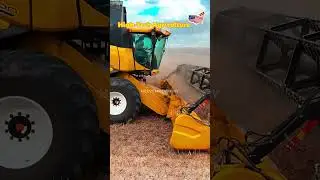 2024 Monster Combine NEW HOLLAND Harvesting Rapeseed #shorts #combine #harvesting #tractor