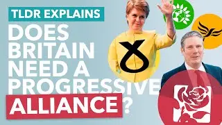 Beating the Conservatives: Could Tactical Voting Work? - TLDR News