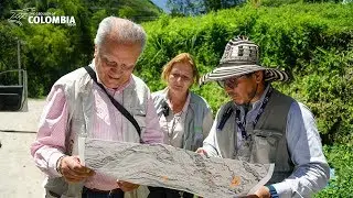 Monogenetic volcanoes