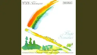 Recorder Sonata in F Major, TWV 41:F2: III. Allegro