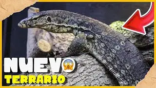 Nuevo Terrario Para Mi Varano Rocco; Es Enorme!!!