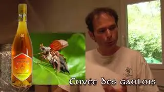 Miel, abeilles et Hydromel (Miguel Guichard - St Morillon)