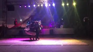 Campeones Nacionales de cueca Extra jovenes 2015