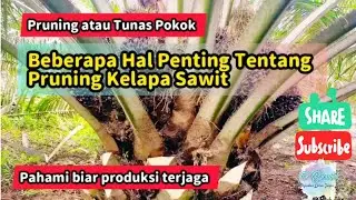Beberapa Hal Penting Tentang Pruning Kelapa Sawit