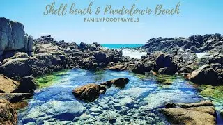 Innes National Park | Shell Beach & Pandalowie Beach
