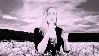 Teckenspråk - Laleh - Bara få va mig själv - MegaVega (Swedish sign language)