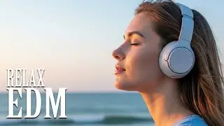 【EDM Chill】Soulful Beats 🎧 Lo-Fi Vibes for Focus & Deep Relaxation