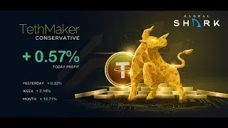 NITREX TethMaker. Новая автоматизированная торговая система