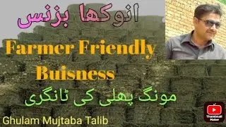 Peanut Straw Hay | Peanut Straw business| Most profitable business for farmers