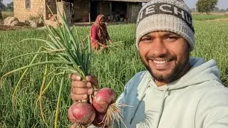 #India2026 #chhattisgarh #Onion farming