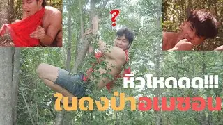 ZGAME - หิวโหด ในดงป่าอเมซ่อน