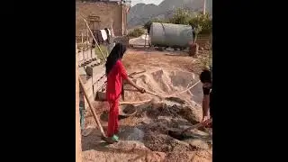 Viral TV 2025 &ndash; Authentic Village Life Moments